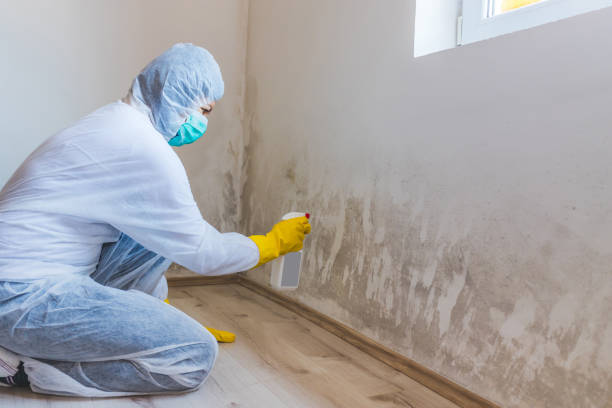 Bathroom Mold Removal assessment in Decatur bathroom